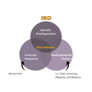 Evolution of IBD infographic